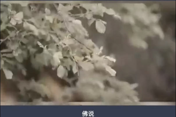 新大澤|一生八字概括即可