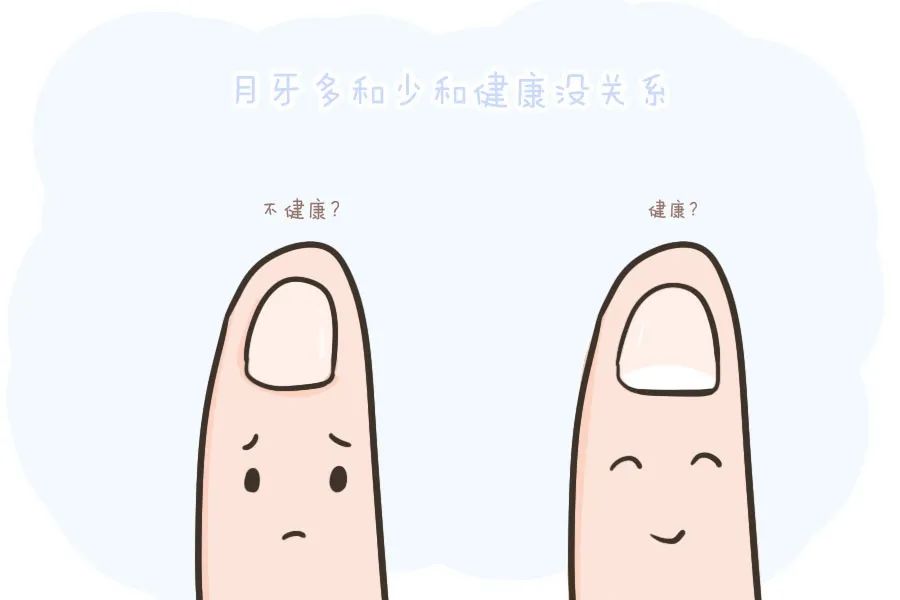 新大澤 | 月牙多少能代表身體狀況嗎？
